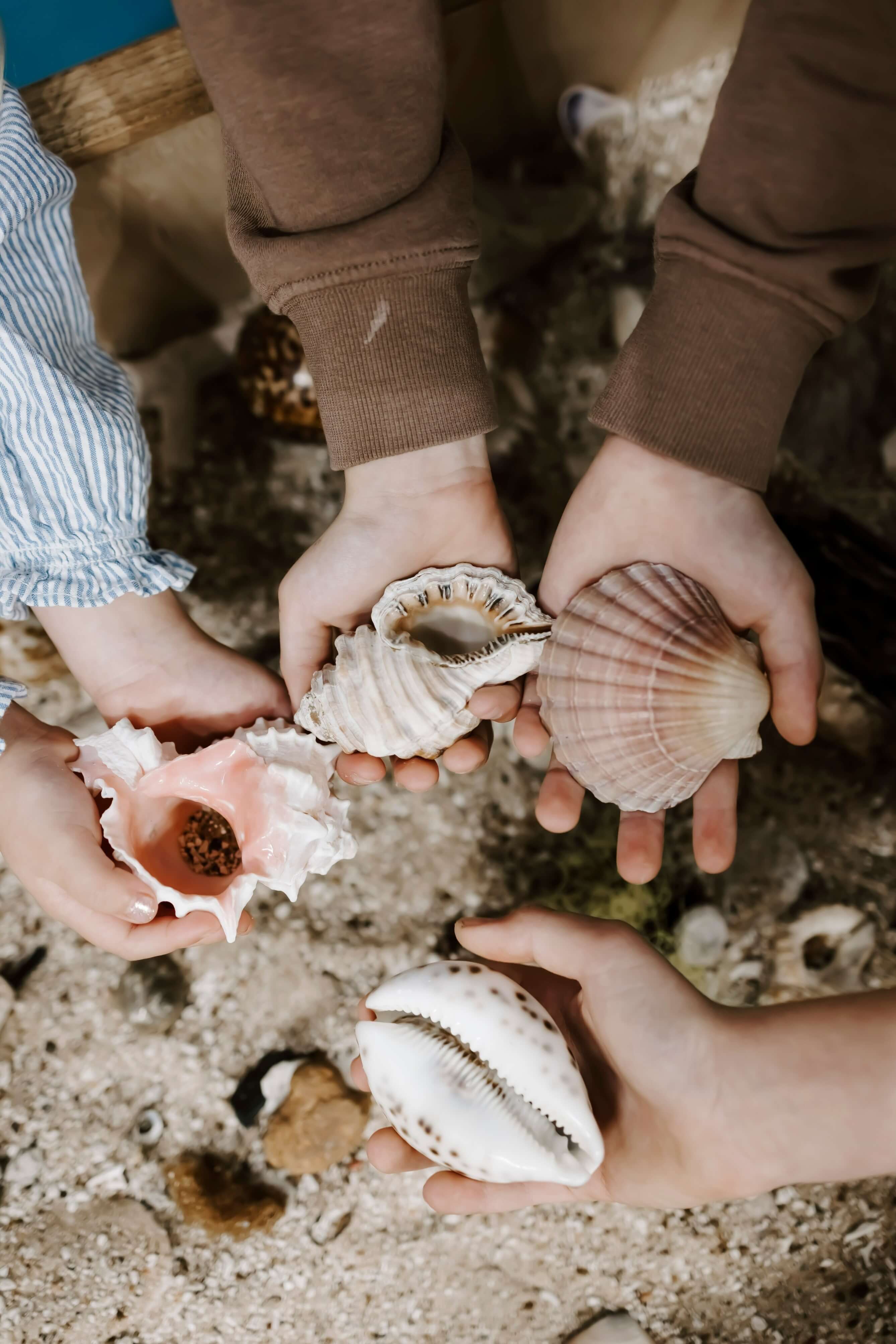 Photos Credit: Destination Central Coast x Bianchi Photography